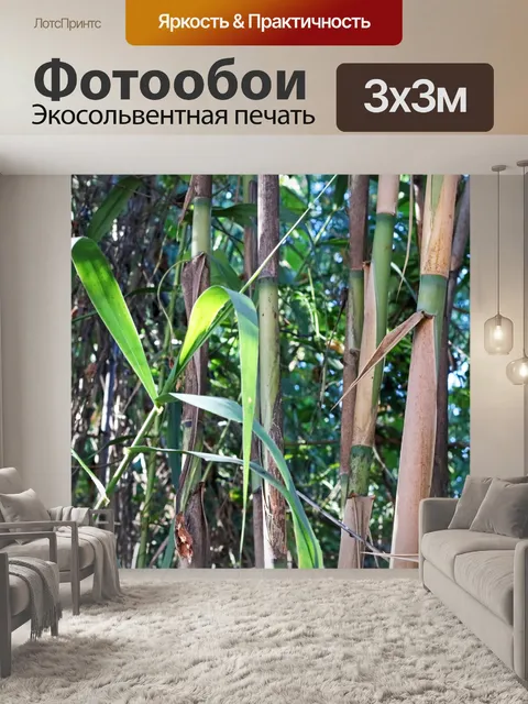 Фотообои зеленая листва на молодом тростнике
