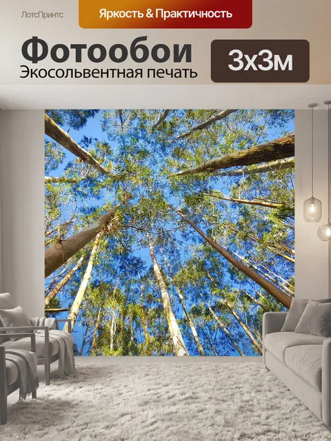 Фотообои Эвкалипт