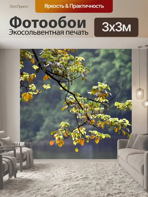 Фотообои Осень