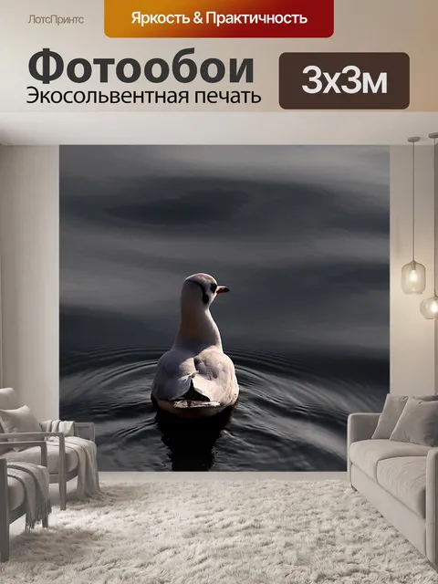 Фотообои Чайка