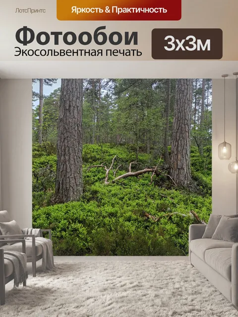 Фотообои Лес