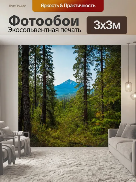 Фотообои лес с далекими горами, виднеющимися через деревья и растительность