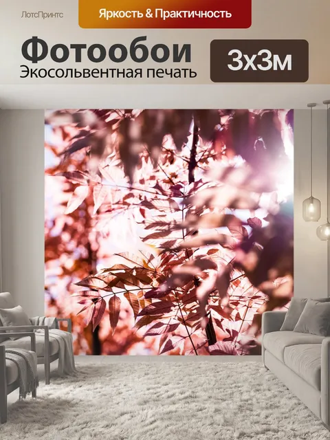 Фотообои Солнца