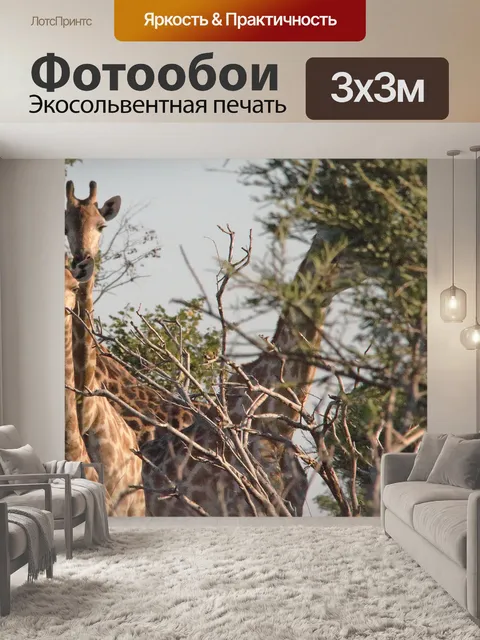 Фотообои группа жирафа между деревьями