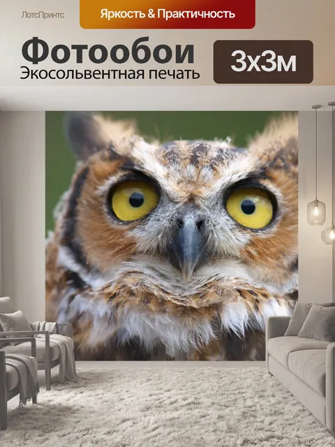 Фотообои Совы