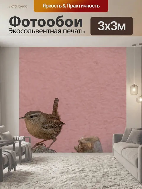 Фотообои Небольшой