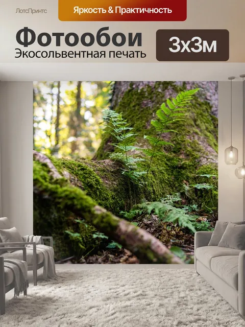 Фотообои Лес