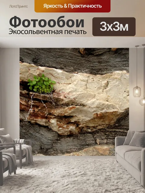 Фотообои Зеленое растение, растущее на каменной с