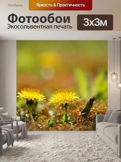 Фотообои Мох