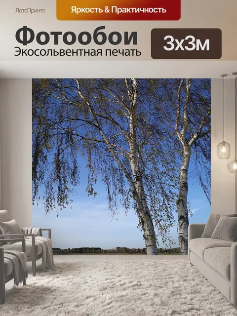 Фотообои Береза