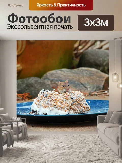 Фотообои Мышь