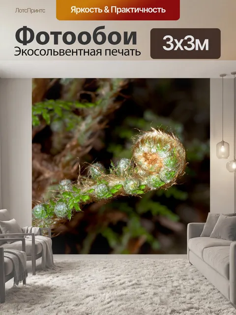 Фотообои Папоротник