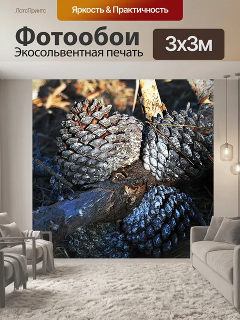 Фотообои Три сосновые шишки