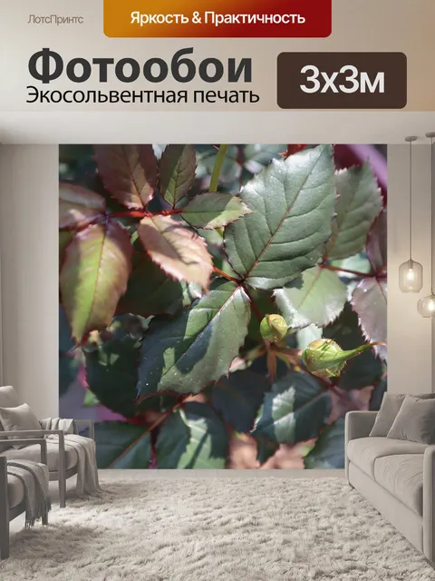 Фотообои Цветок