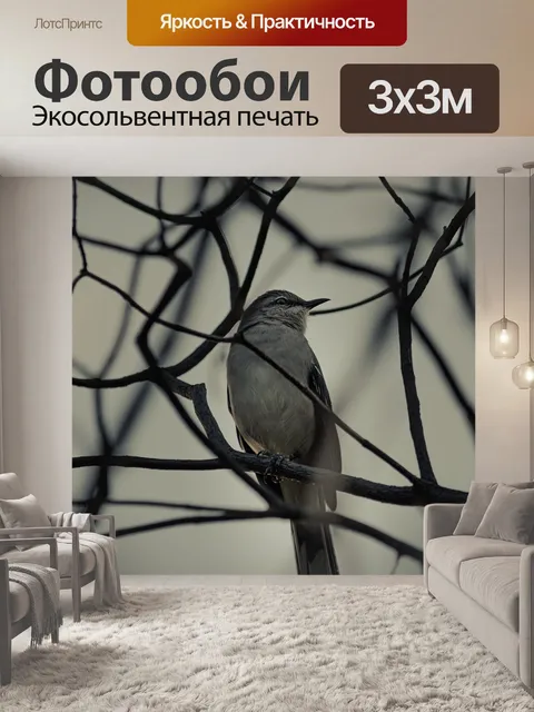 Фотообои Птица