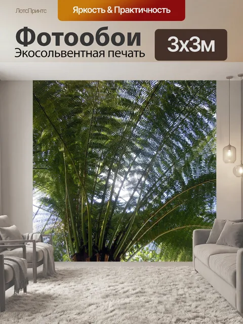Фотообои Пальмовые листья