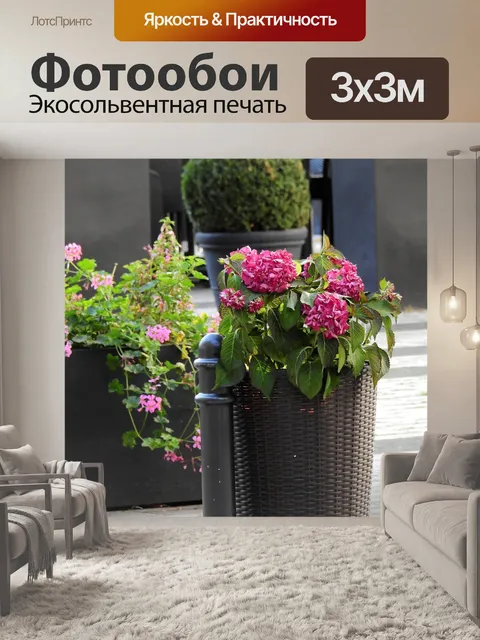 Фотообои Цветок