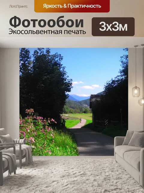 Фотообои Дорога