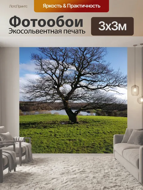 Фотообои Дерево