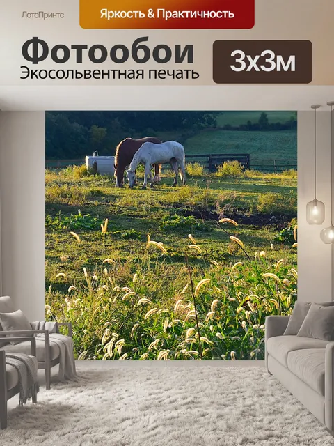 Фотообои Поле
