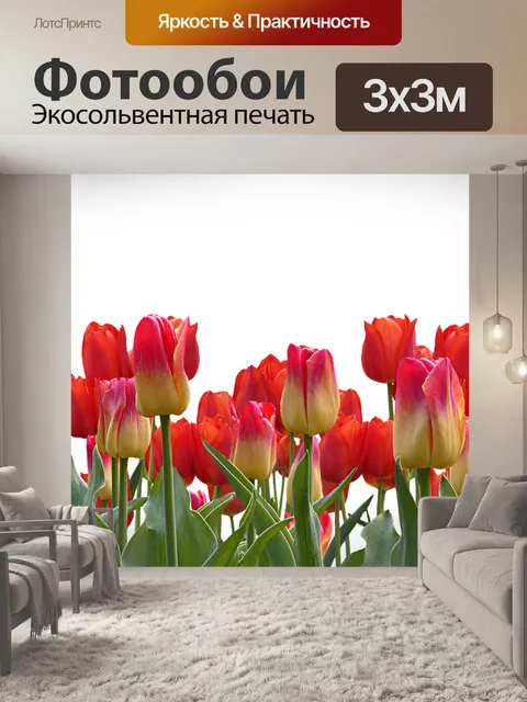 Фотообои Тюльпаны