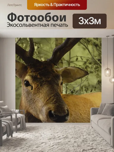 Фотообои Олень