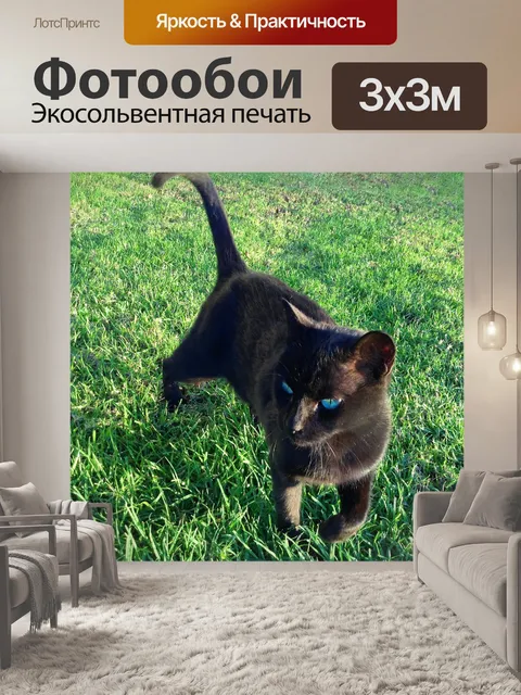 Фотообои Кошка