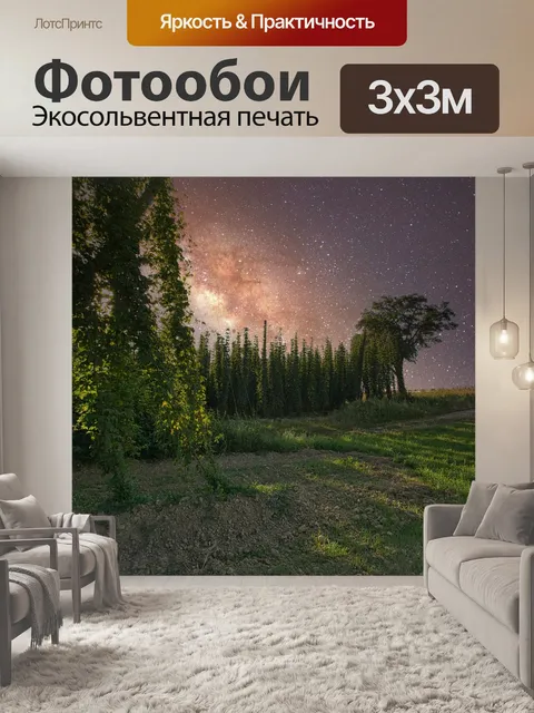 Фотообои Лес