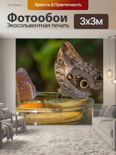 Фотообои Животные