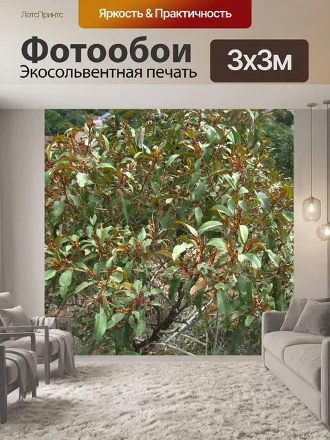Фотообои лавандовое ягодное дерево с бутонами