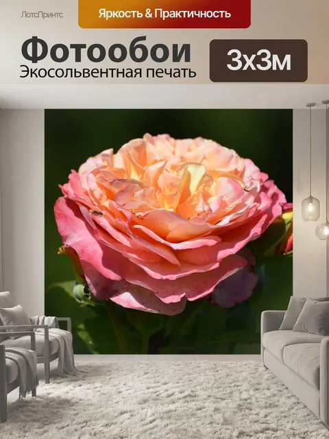 Фотообои Розы