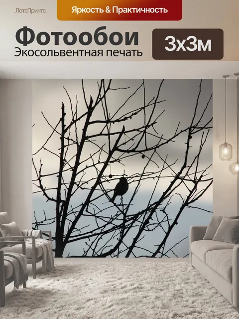 Фотообои Птицы