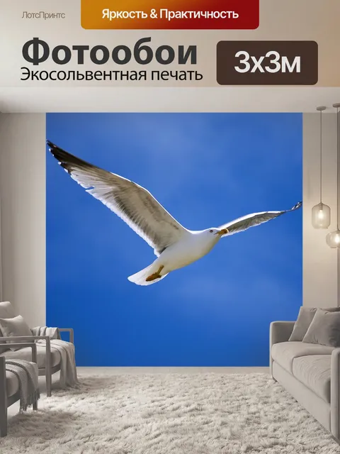 Фотообои Птицы
