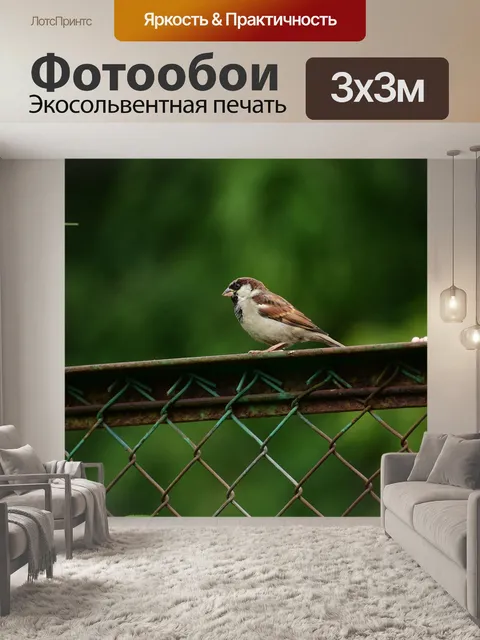 Фотообои Воробей