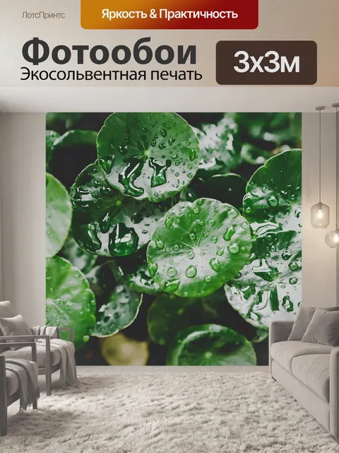 Фотообои Листья