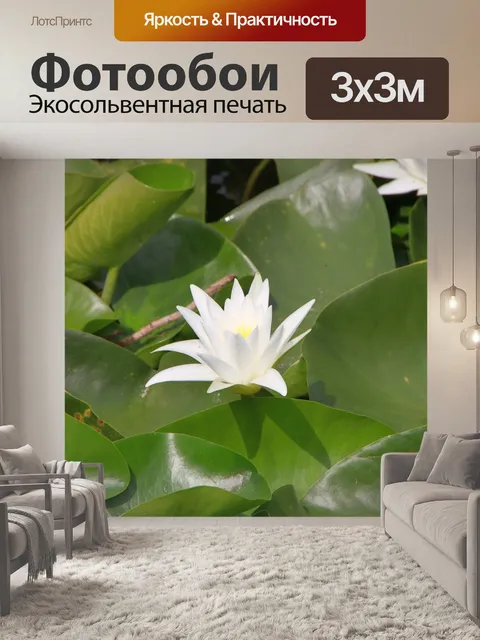 Фотообои Цветы