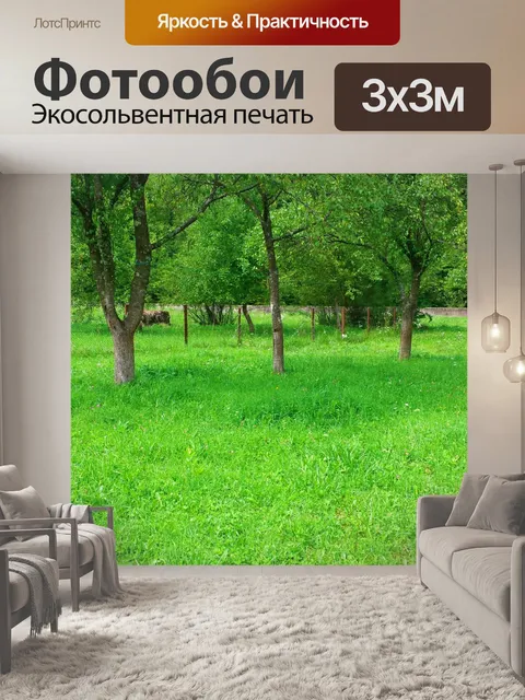 Фотообои Ряд деревьев