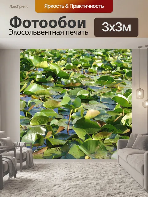 Фотообои Pad