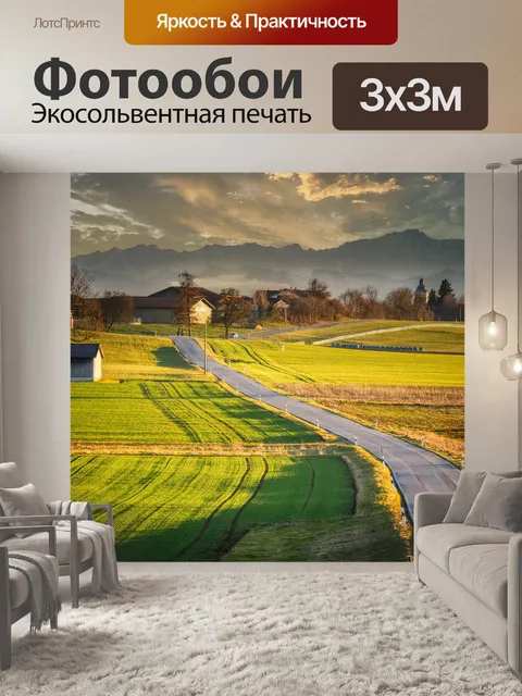 Фотообои Дорога
