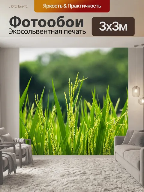 Фотообои Рост