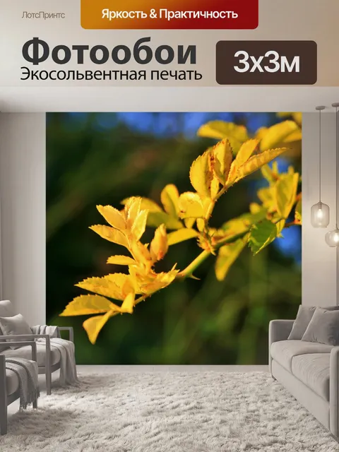 Фотообои яркие желтые розы листья