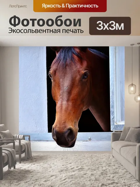 Фотообои Лошадь