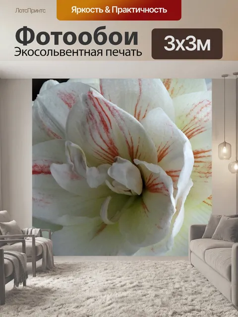 Фотообои Амариллис