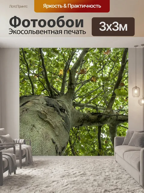 Фотообои Листья