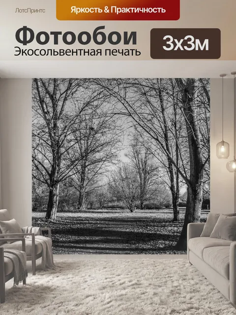 Фотообои Деревья