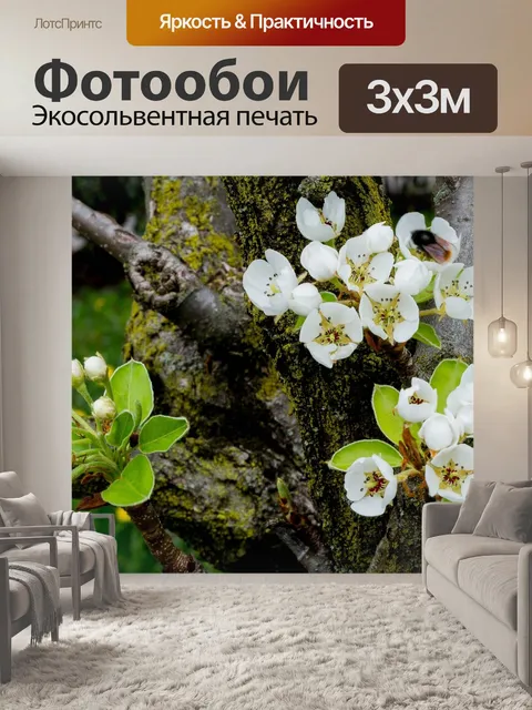 Фотообои Цветы