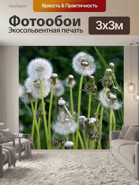 Фотообои Одуванчики