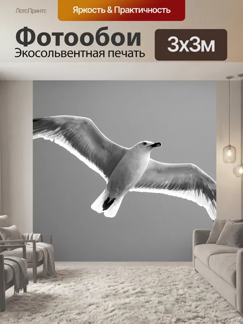 Фотообои Чернить