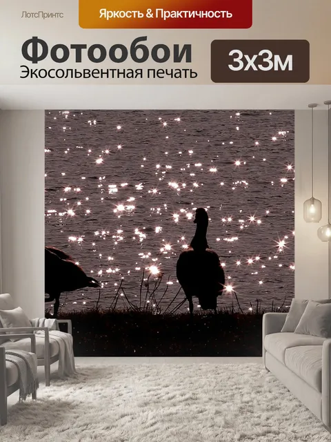 Фотообои Животных фото