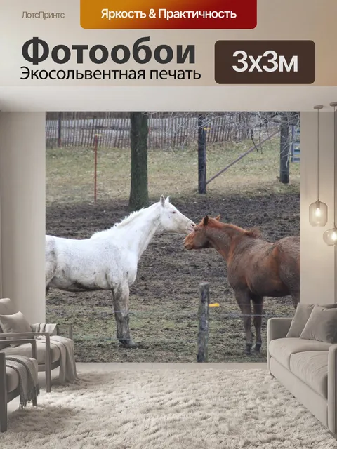 Фотообои Лошади